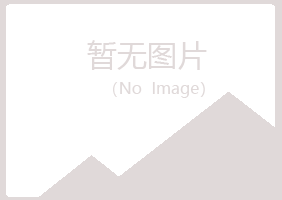 青河县字迹电讯有限公司